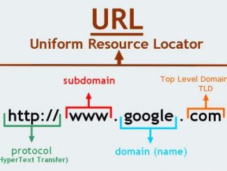 Role Of Domain Names